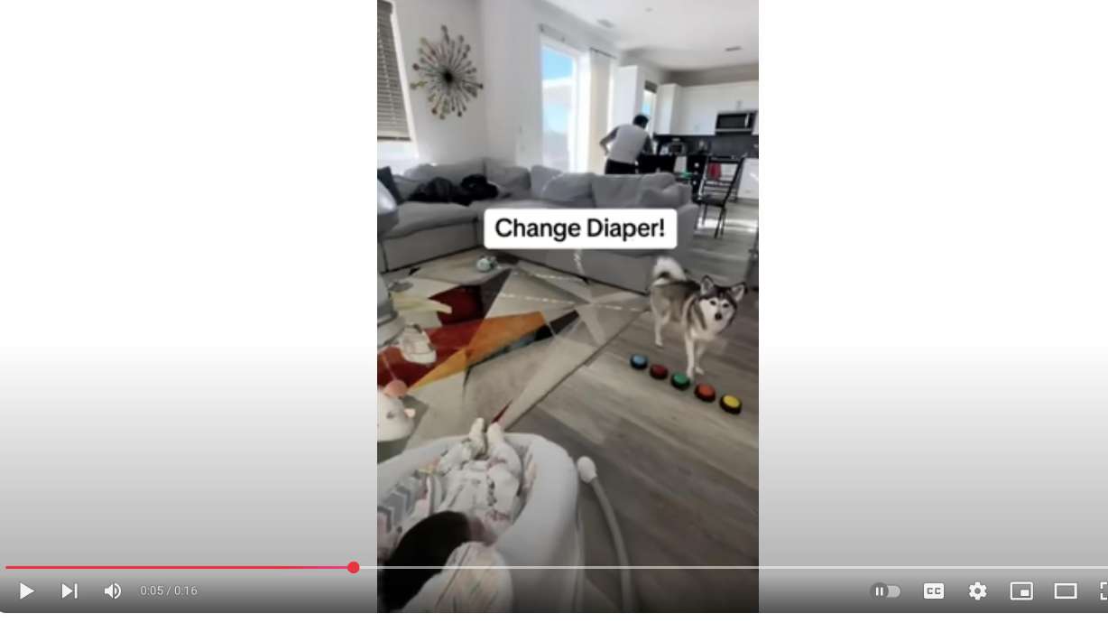 Parents know how tiring it gets checking a newborn's diaper again and again and again, day and night, among all the other things it takes to keep the tiny one alive.