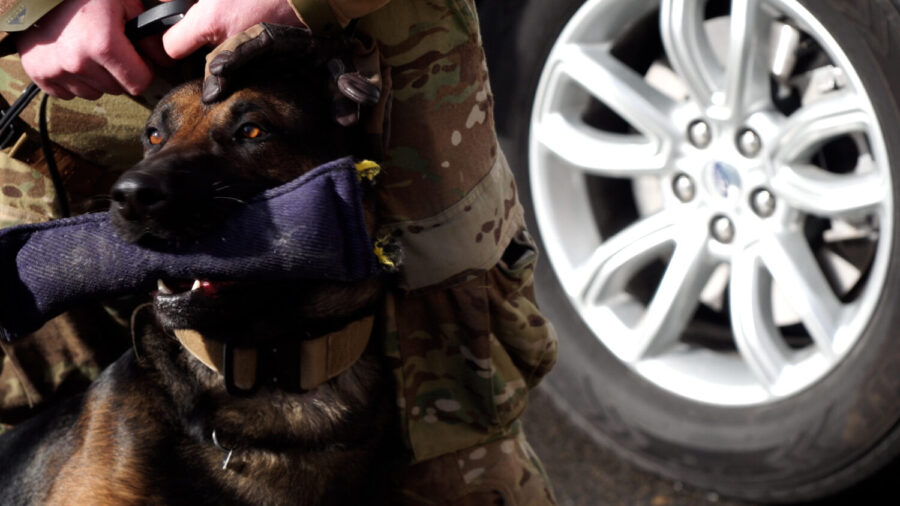 K-9 Max and Agent Roscoe Dickson have been partners for about a year, working for the Department of Corrections.