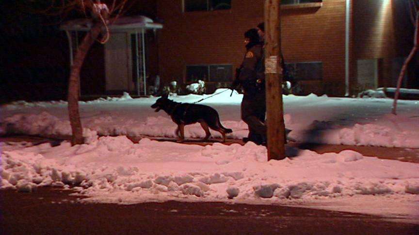 Possible sighting of gun-thief ends without arrest