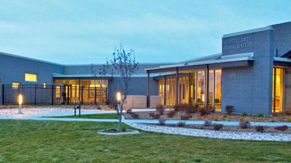 The Weber County Animal Shelter euthanized at least 18 dogs after a canine parvovirus outbreak at the end of January.