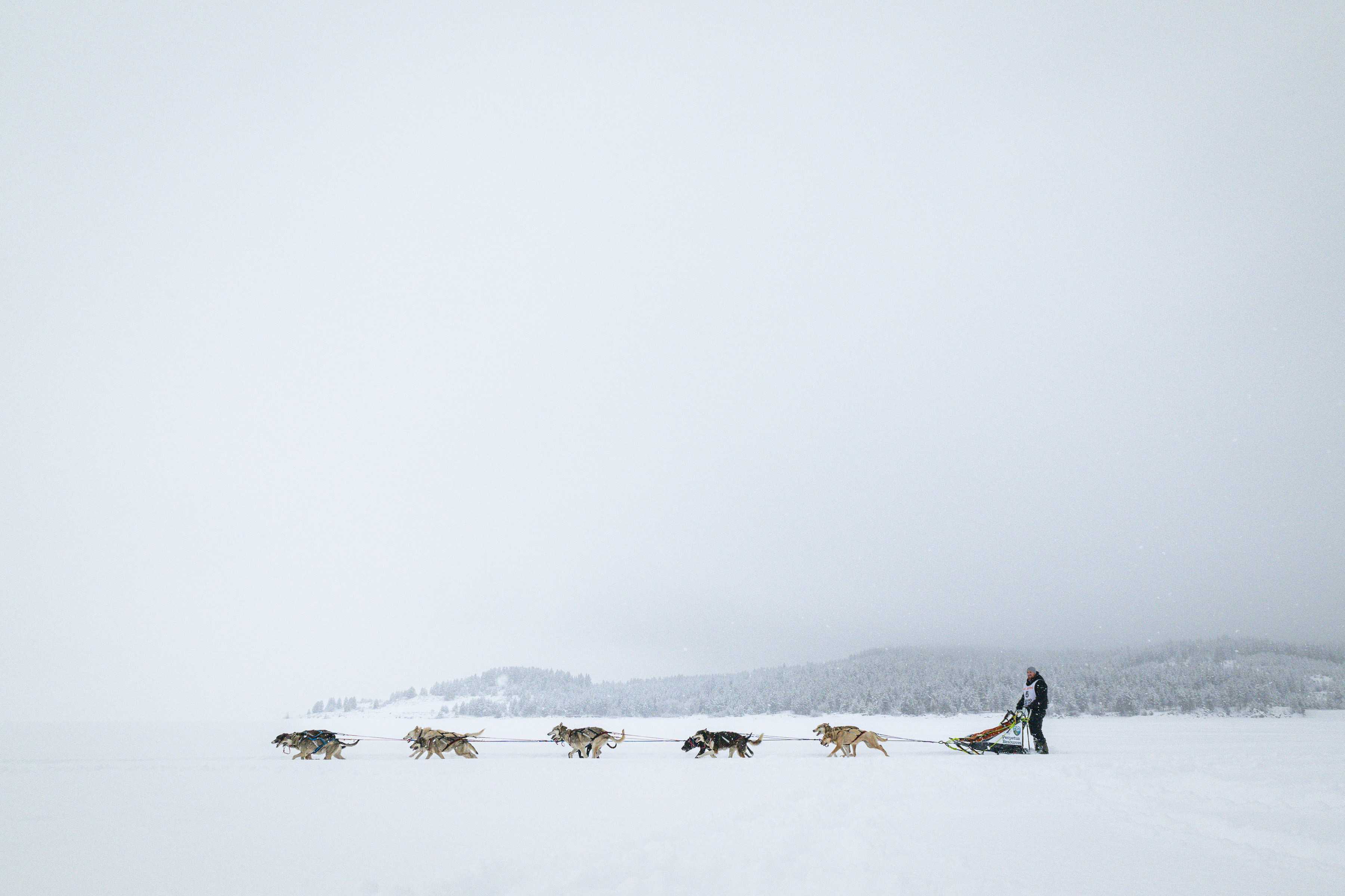 Dallin Donaldson competes in the 100-mile race Monday, at the 2025 Idaho Sled Dog Race.