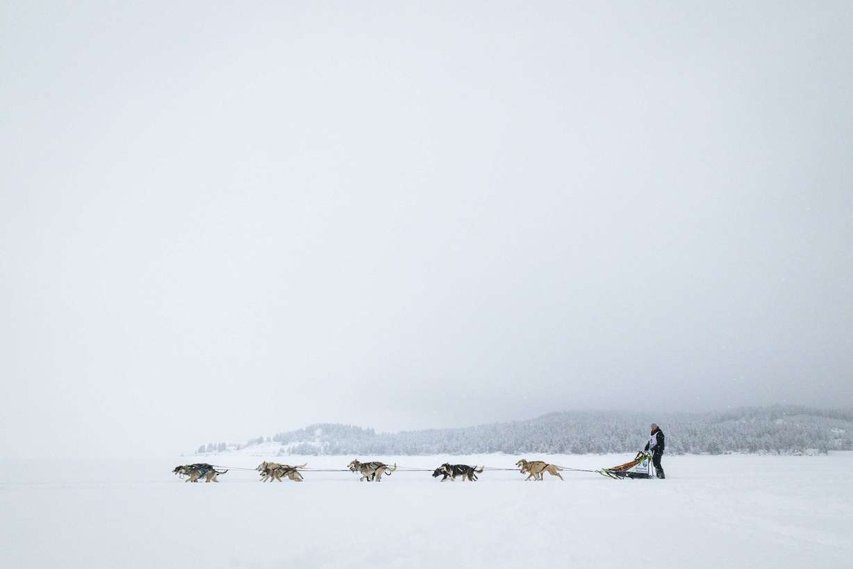 Dallin Donaldson competes in the 100-mile race Monday, at the 2025 Idaho Sled Dog Race.