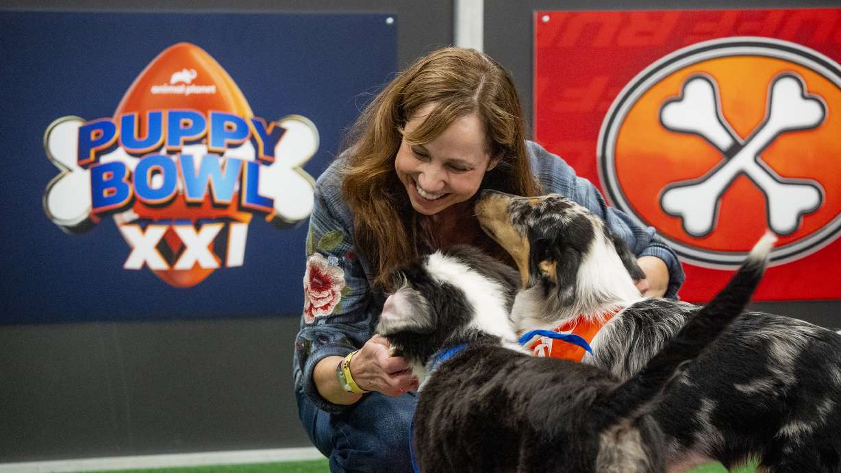 This image released by Animal Planet/Warner Bros. Discovery shows animal expert Victoria Schade interacting with dogs on the set of "Puppy Bowl XXI," airing Sunday.