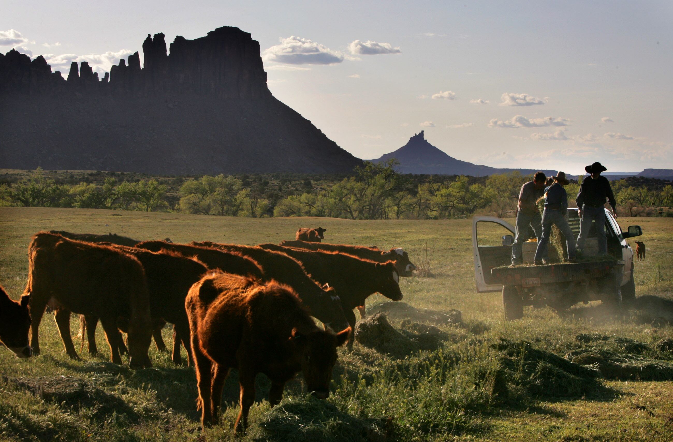 2 land conservation groups square off in federal court battle