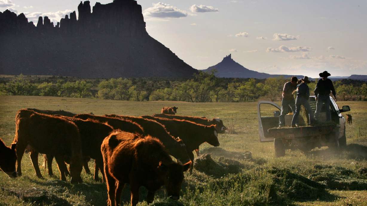 Rancher Heidi Redd, her brother Fred Hansen and ranch hand Brad Atkisson trail hay at the Dugout Ranch, just outside of Canyonlands National Park, April 27, 2007.