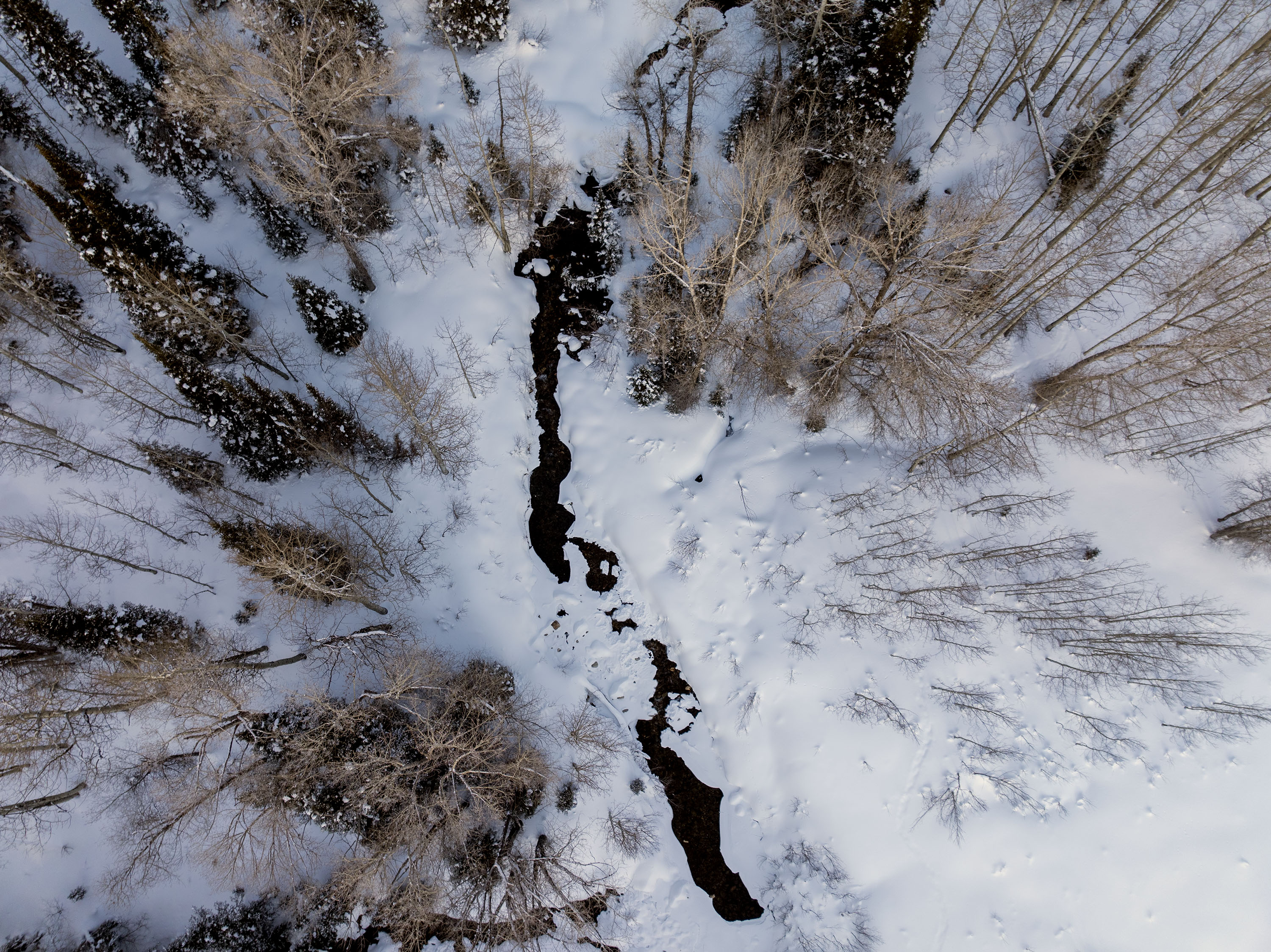 Snow and water in Little Cottonwood Canyon on Jan. 26. An incoming winter storm has the potential to deliver up to a foot of new snow in the area, while lower totals are expected in areas that haven't seen much moisture this winter.