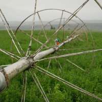 Utah's big water efficiency push may help farms more than the Colorado River