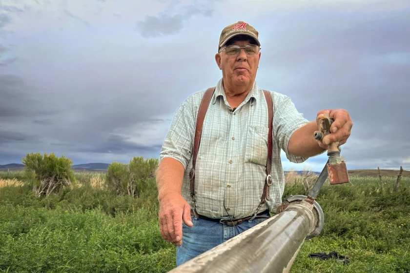 Dwight Brinkerhoff flicks the spring-loaded arm of a brass impact sprinkler at his farm in Wayne County, Aug. 22, 2024. Replacing traditional sprayers like this with new water-efficient versions may boost crop production but is unlikely to have a significant impact on saving the Colorado River.