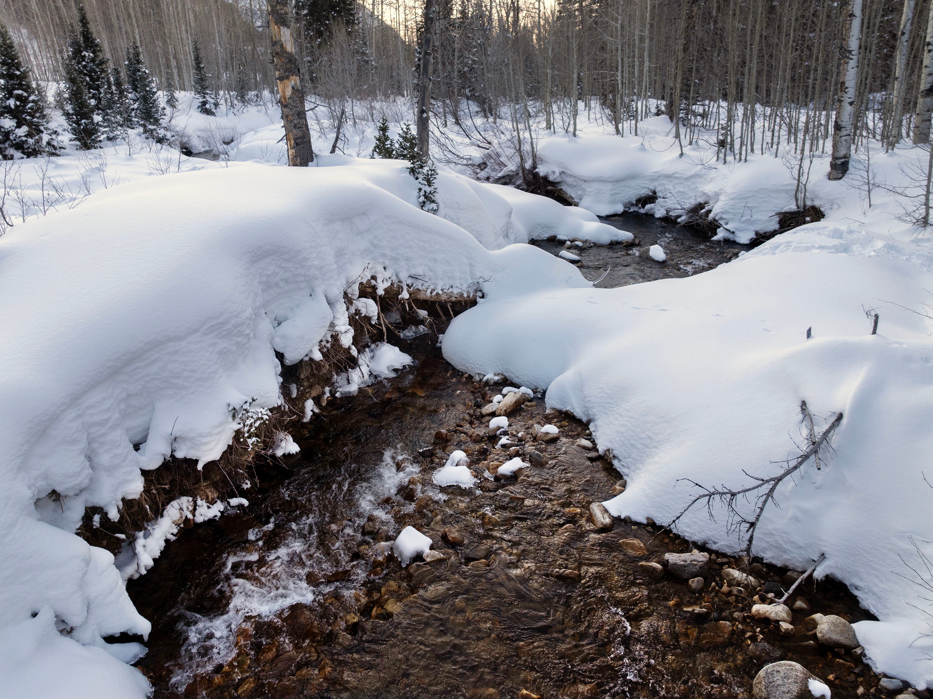 Snow and water in Little Cottonwood Canyon on Jan. 26.