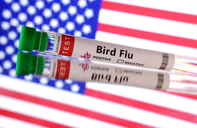 Nevada confirms state's first human case of bird flu in a dairy worker