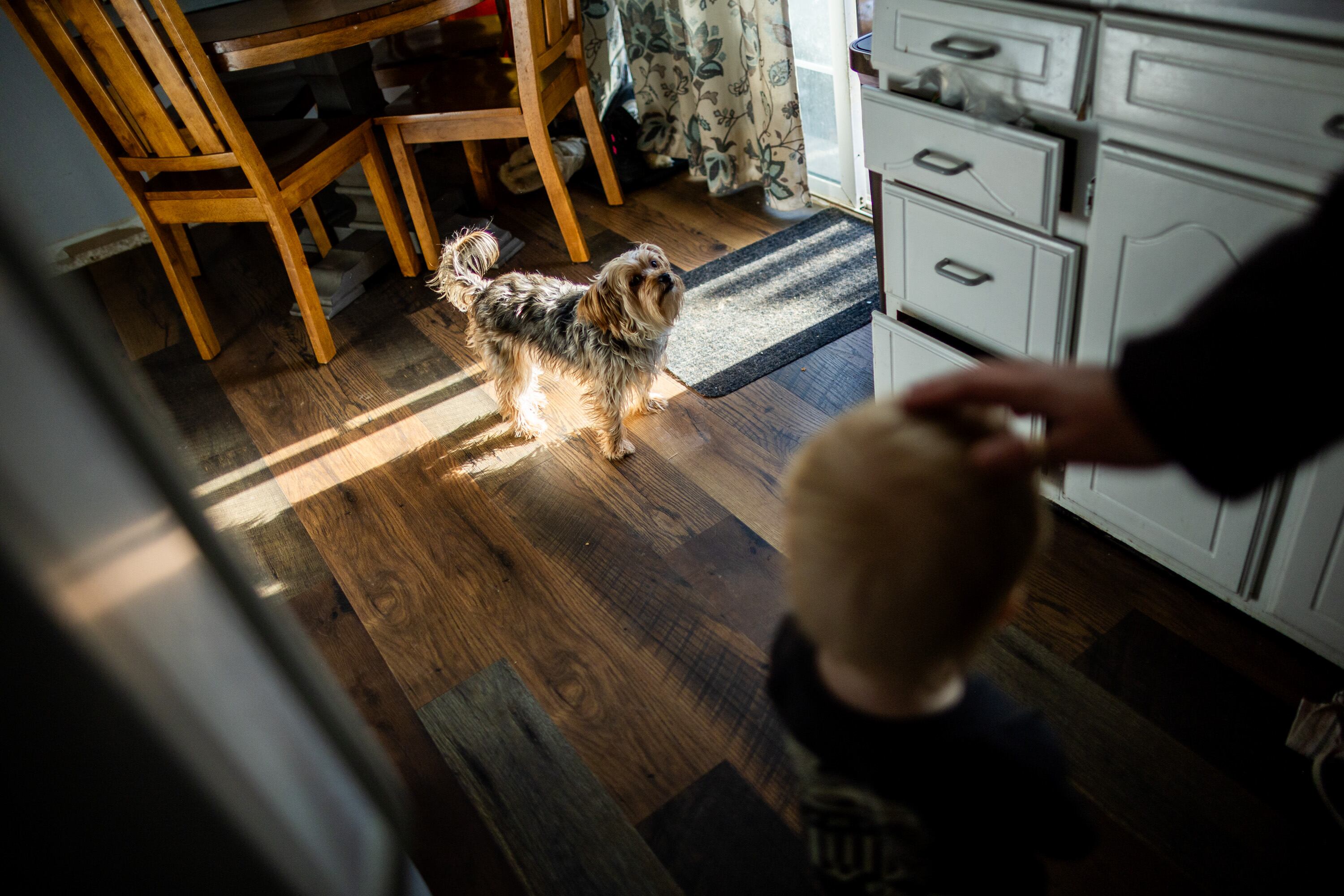 Kassandra Merritt and child Madeleine Merritt, 2, prepare to go outside with their dog Lizzy at their home in Kearns on Feb. 9.