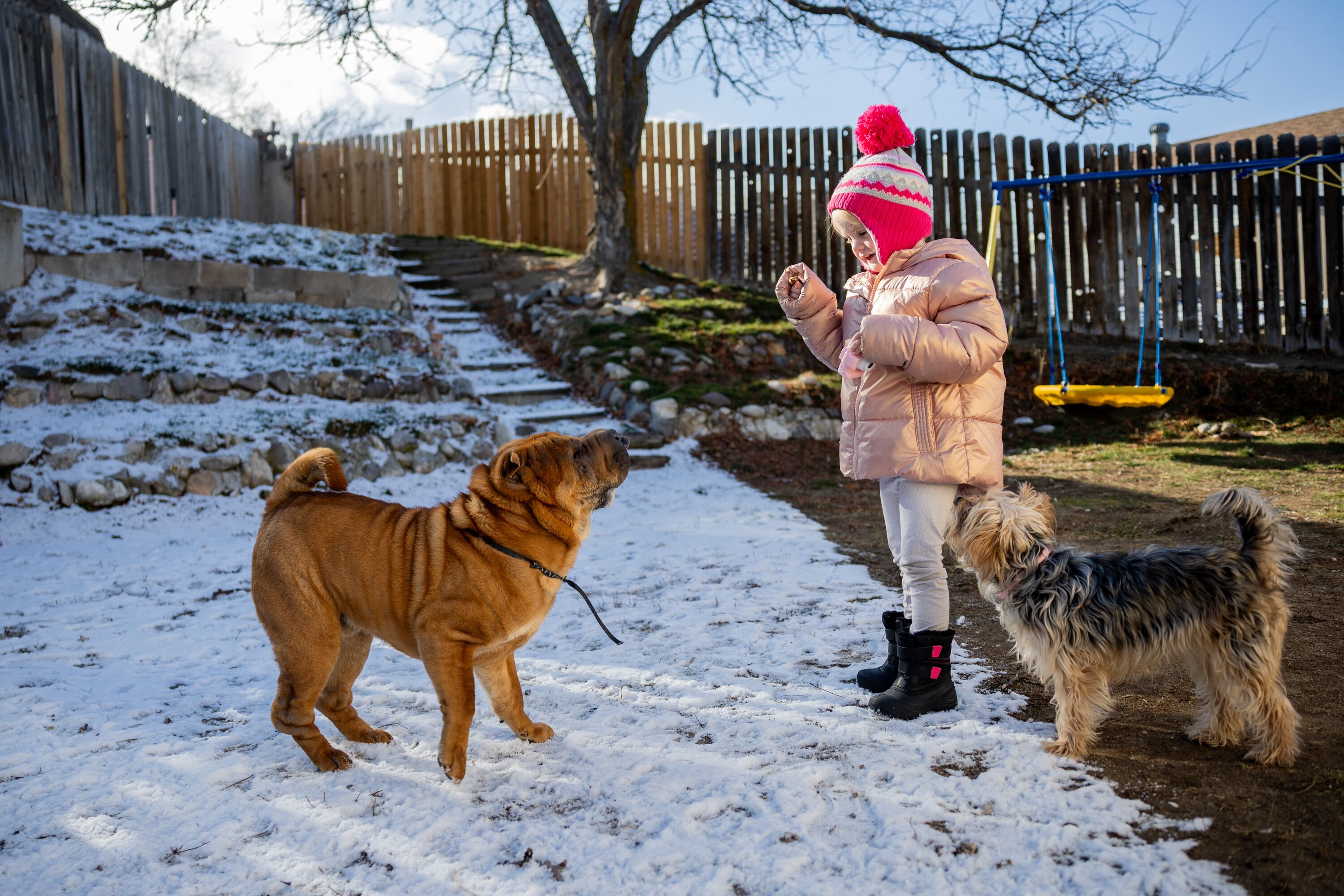 Evelyn Merritt, 6, plays with dogs George, left, and Lizzy, right, at her home in Kearns on Feb. 9.