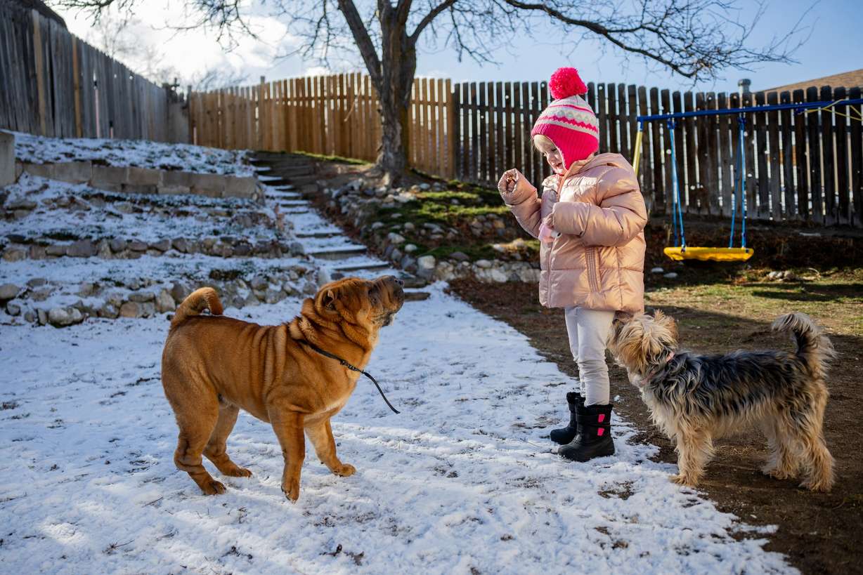 Evelyn Merritt, 6, plays with dogs George, left, and Lizzy, right, at her home in Kearns on Feb. 9.
