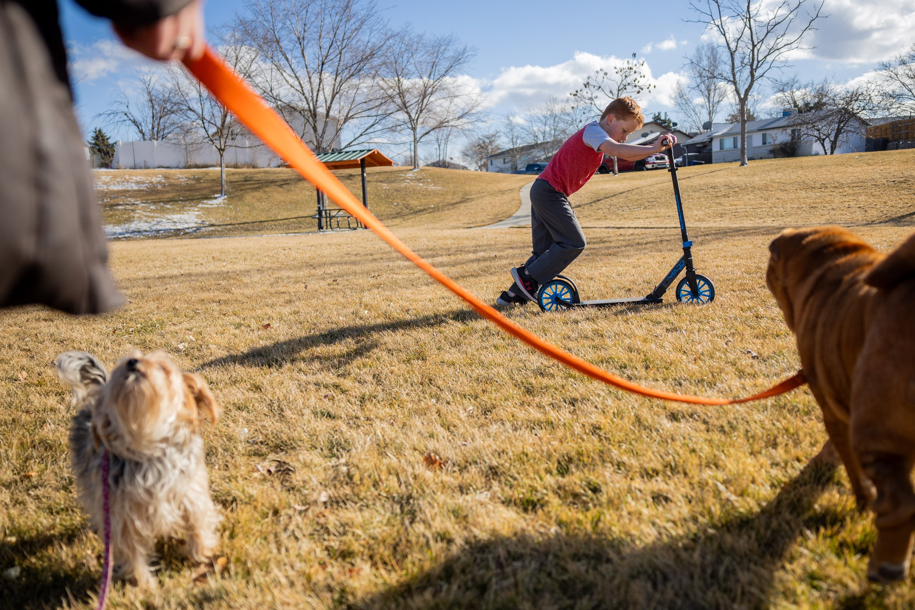 Kassandra Merritt walks her dogs Lizzy, left, and George, right, while a child scooters outside her home in a park in Kearns on Feb. 9.