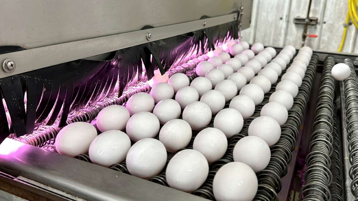 Eggs are cleaned and disinfected at the Sunrise Farms processing plant in Petaluma, Calif., on Jan. 11, 2024. It appears thieves are giving themselves a "five-finger discount," and stockpiling could push egg prices even higher.