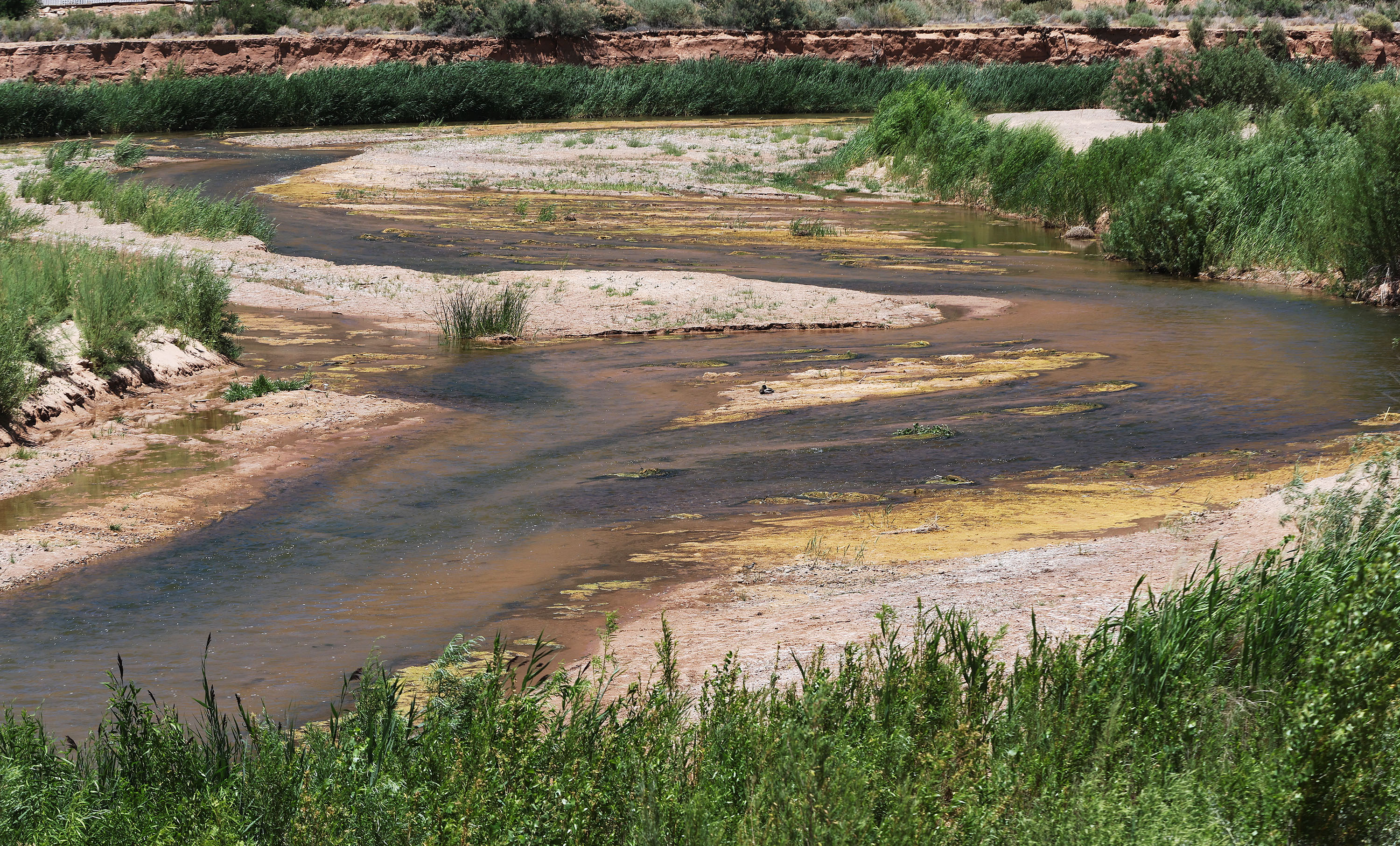 The shallow Virgin River flows through St. George on June 10, 2022. St. George Mayor Michele Randall outlined water security efforts during her State of the City address amid extreme drought facing the region.