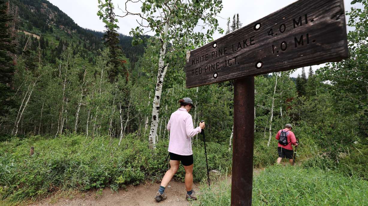 Hikers start the trail at White Pine Trailhead in Little Cottonwood Canyon on Aug. 2, 2022. Rep. Celeste Maloy, R-Utah, and Sen. Cynthia Lummis, of Wyoming, are pushing to undo a rule that allows the U.S. Forest Service to enforce state laws.