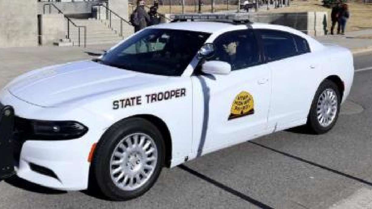 A Grantsville woman who Utah Highway Patrol troopers say they've dealt with frequently has been arrested again after witnesses say she appeared to be 'fighting everyone' on I-80.
