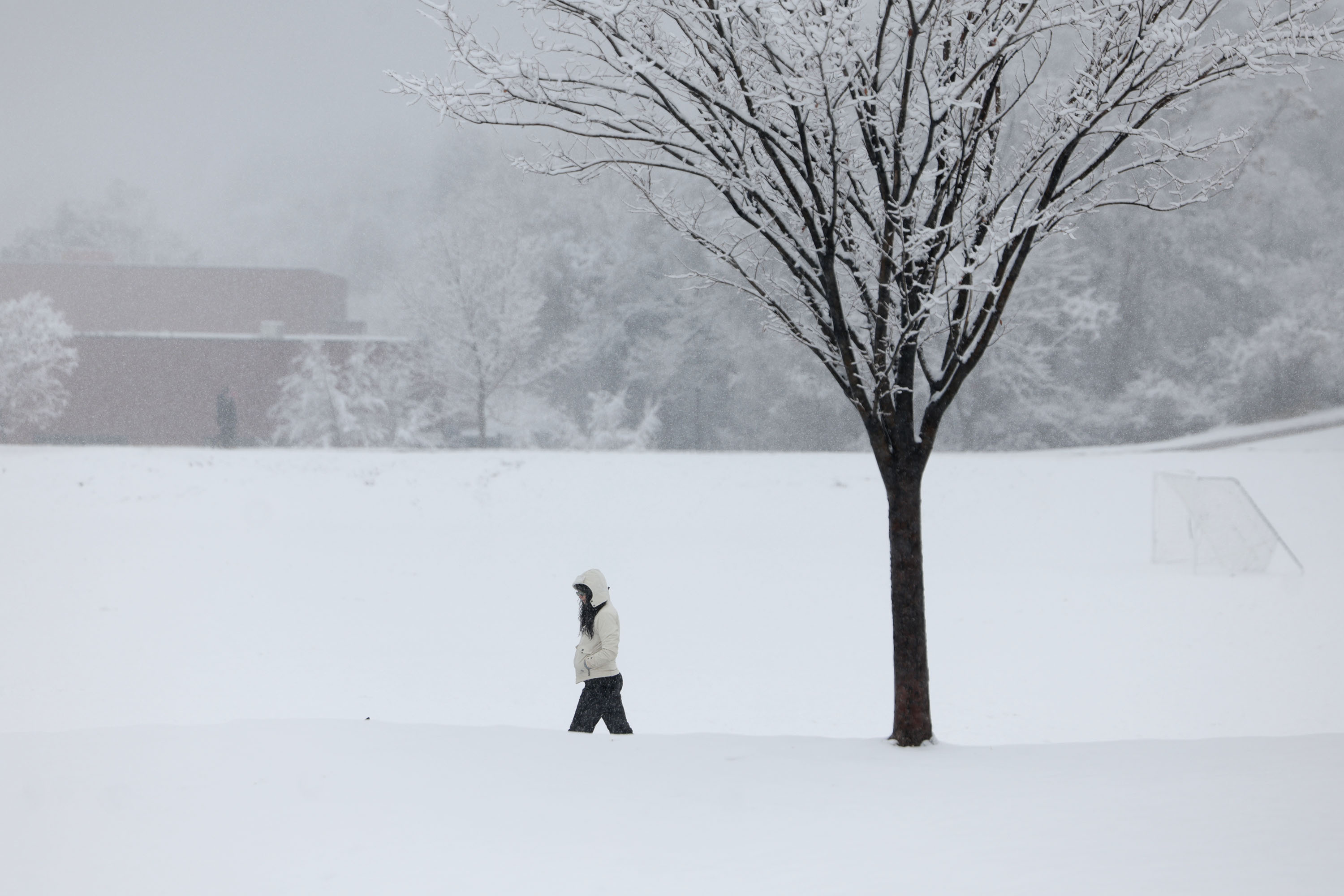 Utah's meteorological winter has been a mixed bag. What is forecast for spring?