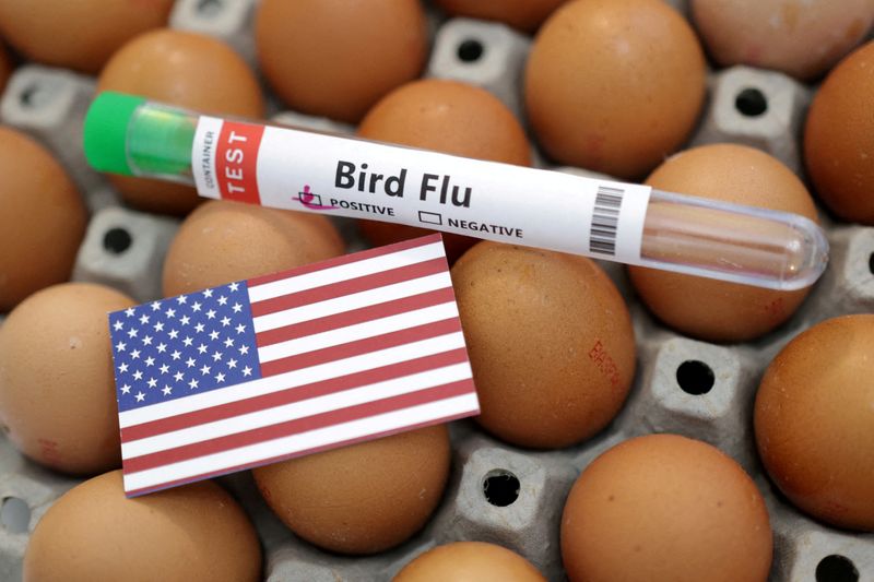 US will spend up to $1B to combat bird flu, USDA secretary says