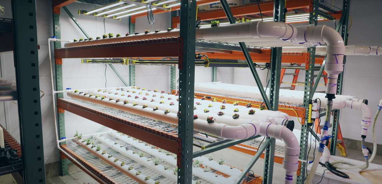 Innovative greenhouse designs by BYU students are being used to reduce food insecurity during the winter months at the Food and Care Coalition.