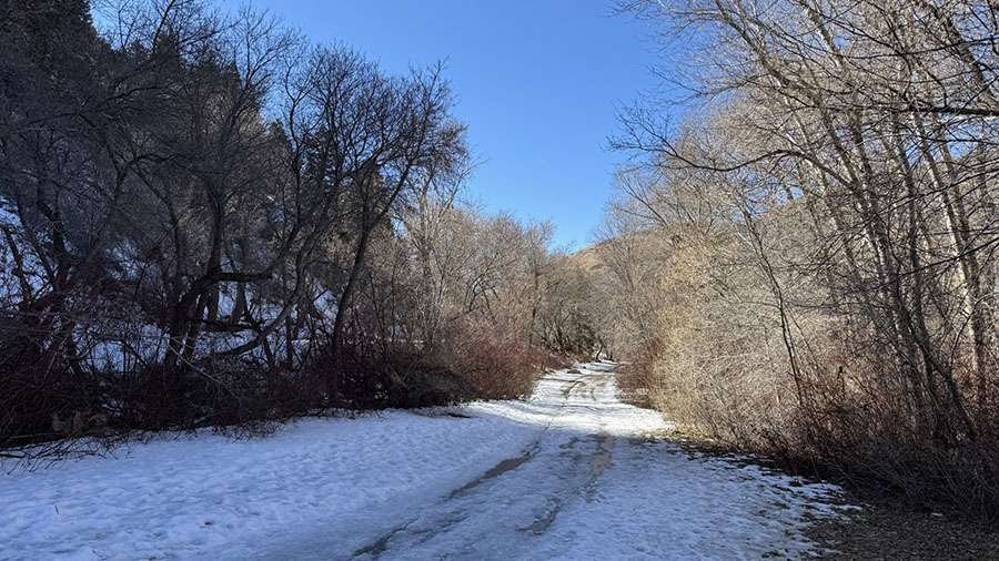 A road near Bridal Veil Falls that Utah County would like to take over so they can supervise its management.