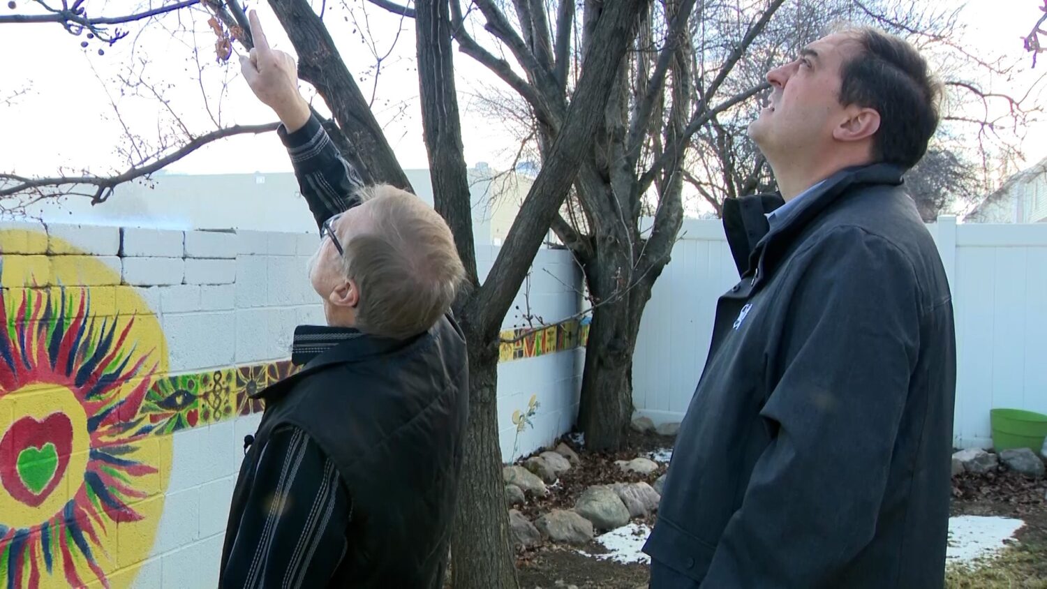 Kevin McGeeney shows KSL-TV’s Matt Gephardt how a cable was tied to his tree in three places.