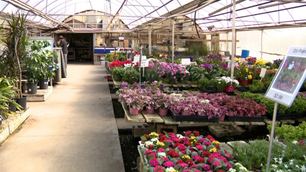 Warmer weather has many Utahns ready for gardening