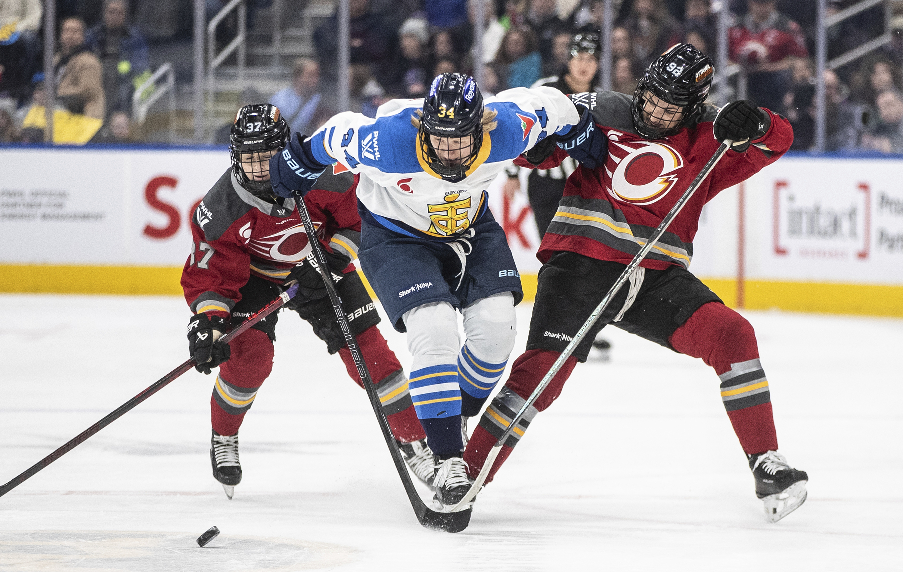 Toronto Sceptres' Hannah Miller (34) battles for the puck with Ottawa Charge's Rebecca Leslie (37) and Danielle Serdachny (92) during the first period of a PWHL hockey game in Edmonton, Alberta, on Sunday, Feb. 16, 2025.