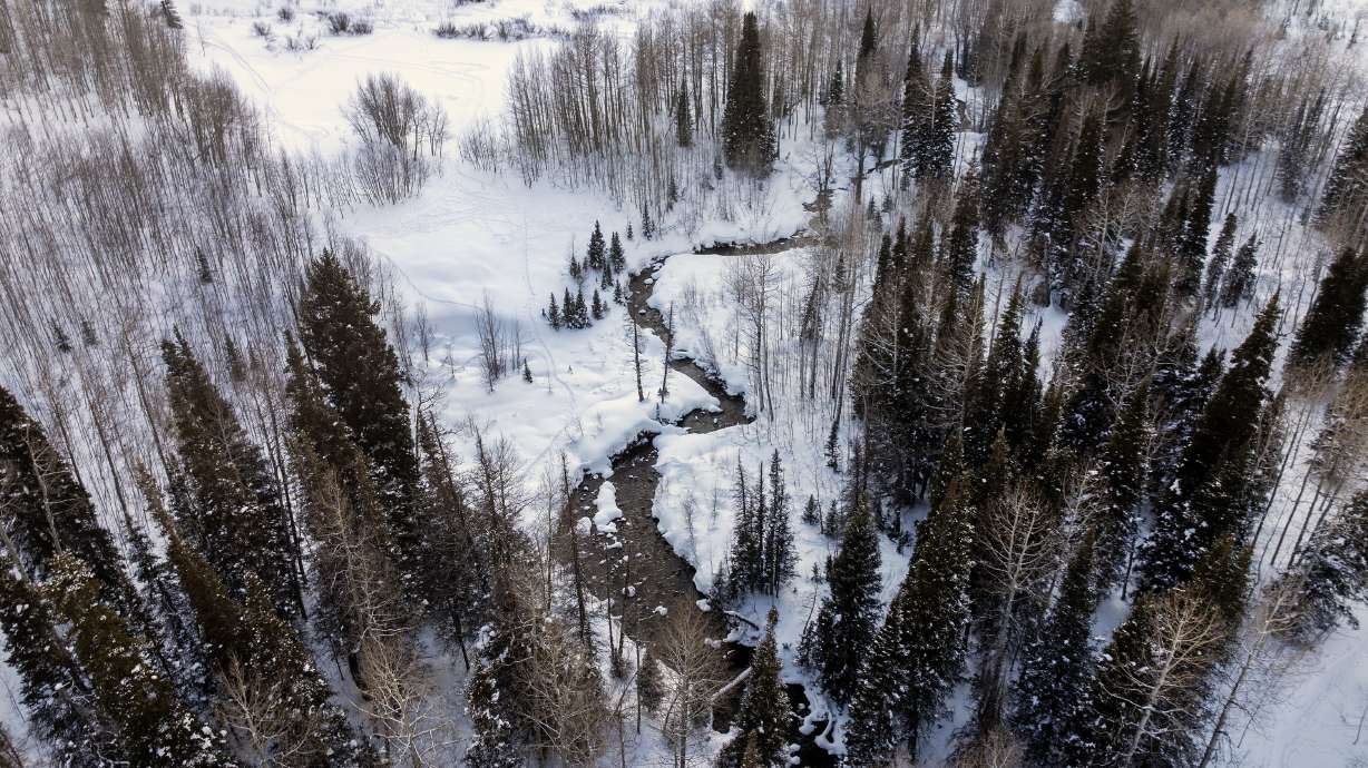 Snow in Little Cottonwood Canyon on Jan. 26. Utah's meteorological winter was a mixed bag, as some basins ended the season with snowpack totals near or above normal while others ended the season with record lows.