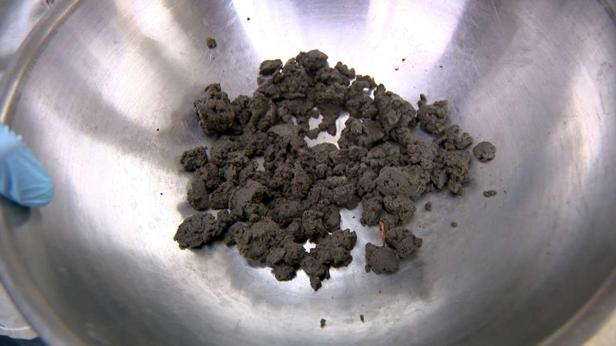 Researchers are targeting the sludge that wastewater treatment plants often turn into compost.