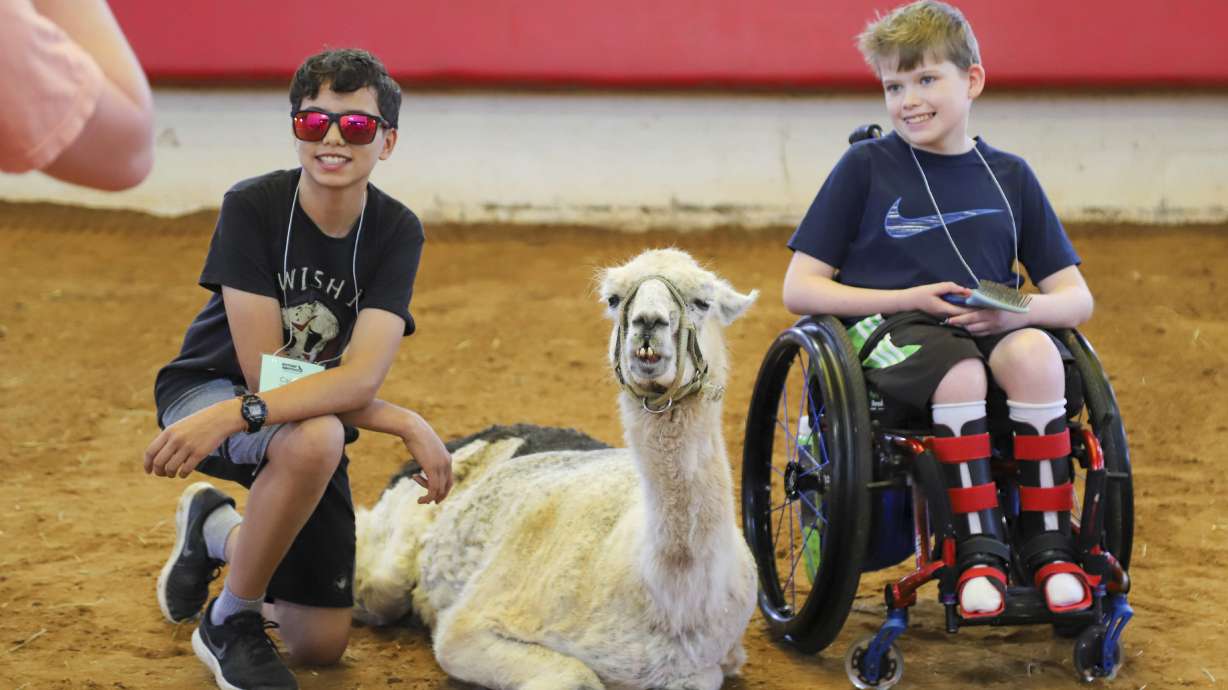 This photo provided by Victory Junction shows kids posing for a photo with llama Whitetop at Victory Junction, a camp for chronically ill children, in Randleman, N.C., in 2023.