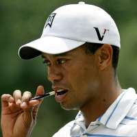 Chewing wood provides sliver of hope against memory loss