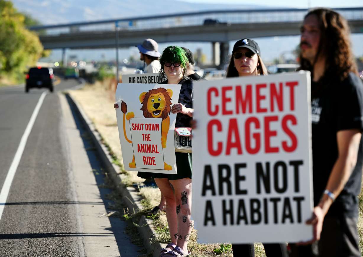 The Utah Animal Rights Coalition protests in front of Lagoon's Amusement Park in Farmington on Oct. 12, 2024.
