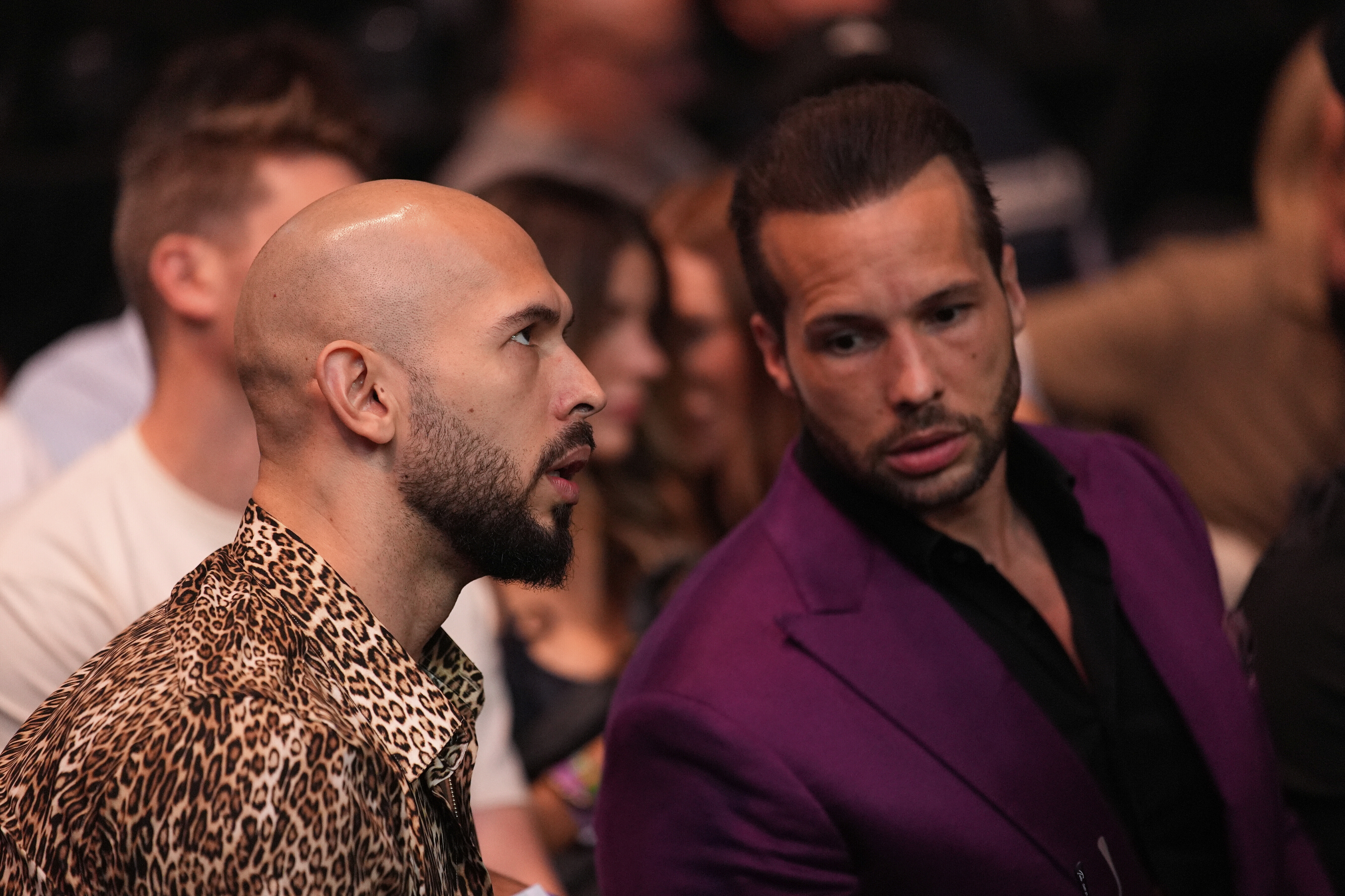 ADDS NAME OF BROTHER - Andrew Tate, left, and Tristan Tate attends a UFC 313 mixed martial arts event Saturday, March 8, 2025, in Las Vegas. 