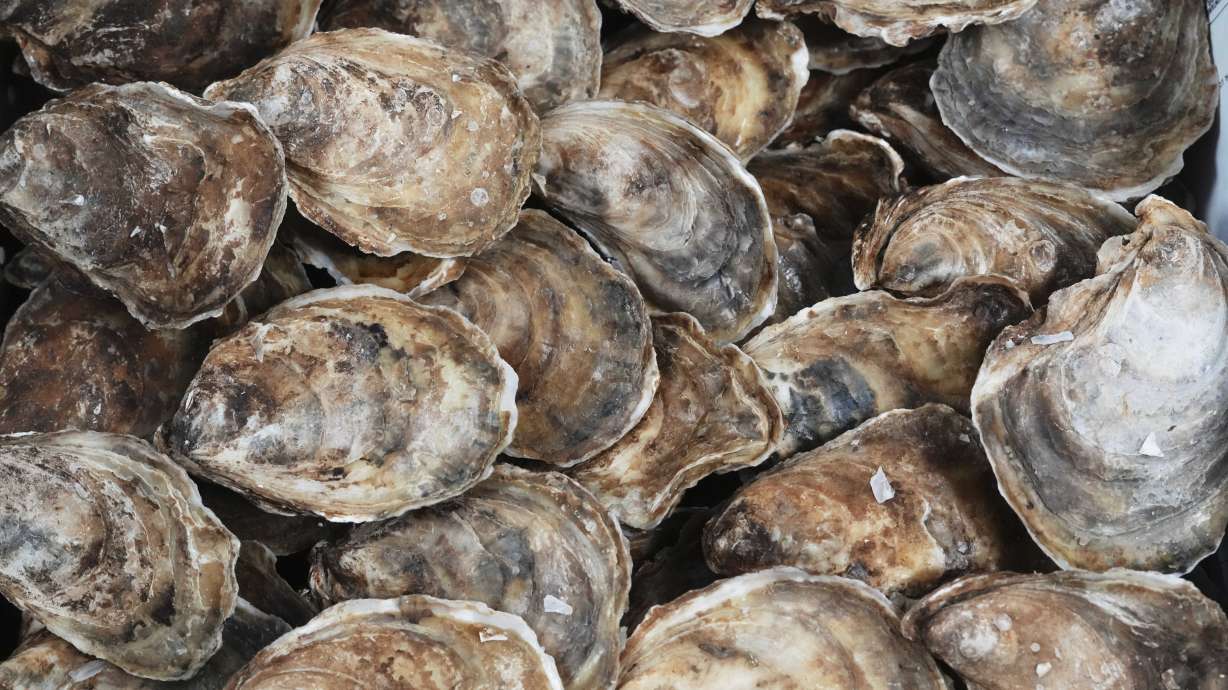 Utah health officials are investigating a norovirus outbreak in Utah County connected to frozen half-shell oysters from the South Korea.