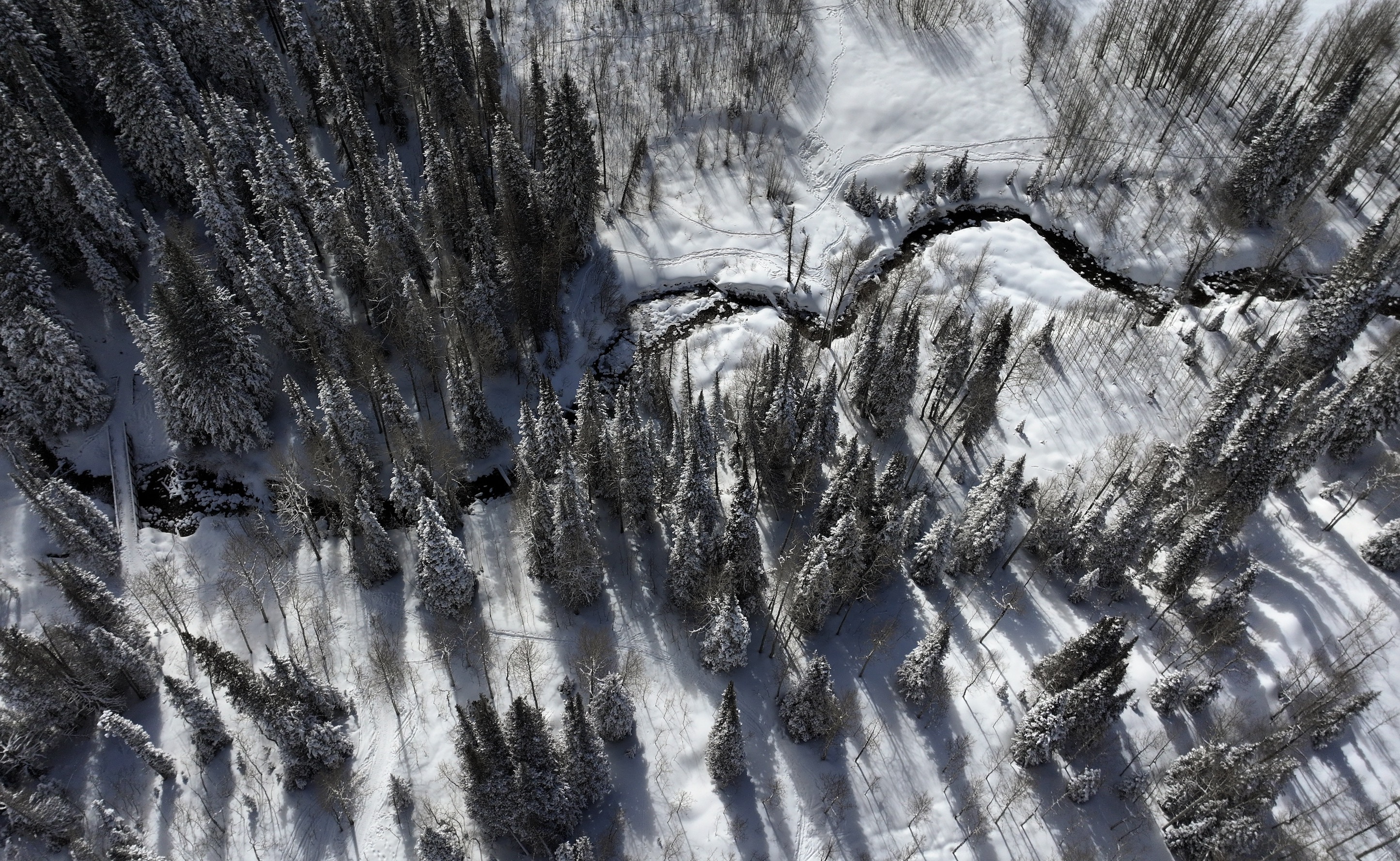 Little Cottonwood Creek in Little Cottonwood Canyon on Feb. 12. Despite the snowpack collection, Salt Lake City water managers say concerning trends are still on the horizon.