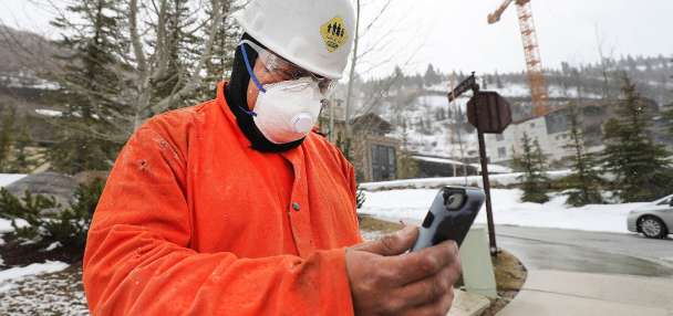 Do you remember what you Googled after the pandemic hit?