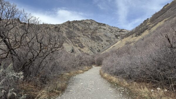 Rescuers offer safety reminders as hikers turn adventurous in warmer weather