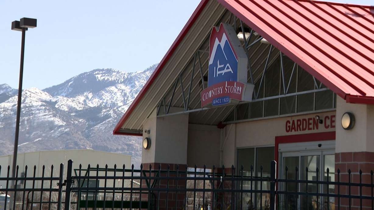 IFA Country Stores in Ogden, pictured on Tuesday. As egg prices remain high, IFA stores in Utah are doing their best to keep up as they see a continued rush on chicks.