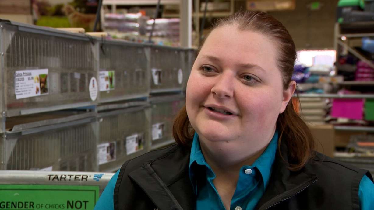 Maddie Stephens, assistant manager at IFA Country Stores in Ogden, talks to KSL about how her store is doing its best to keep up as they see a rush on chicks.