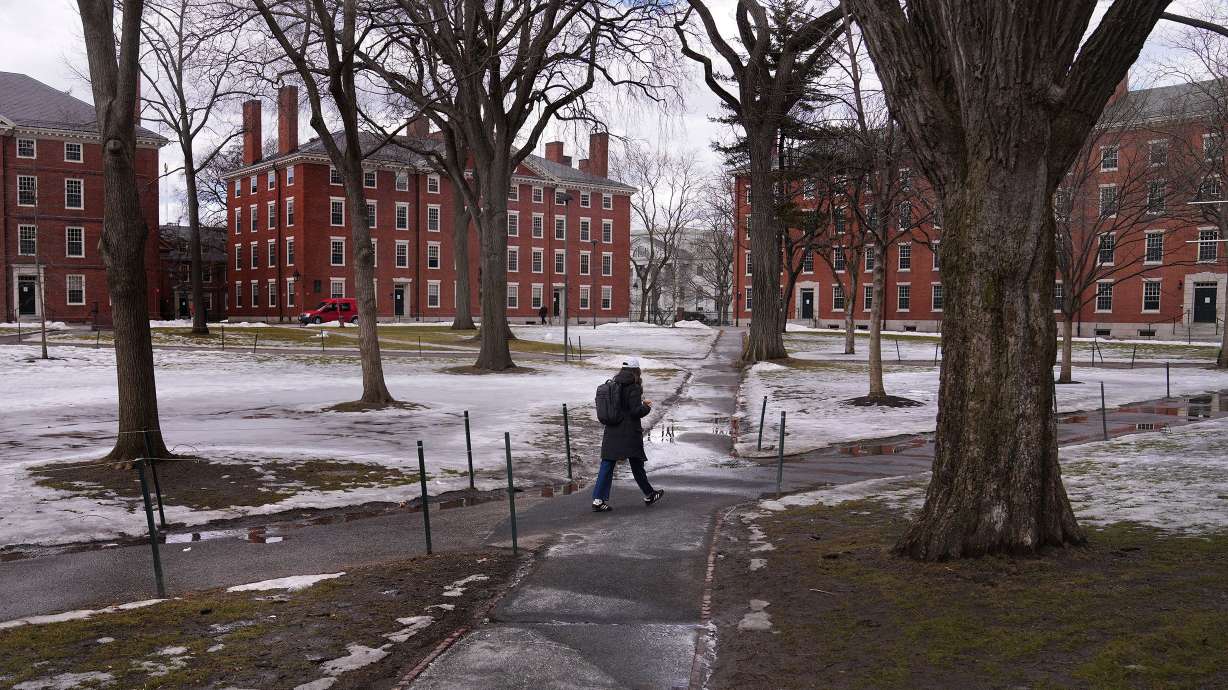 A pedestrian walks through Harvard Yard in Cambridge, Mass. Harvard undergraduate tuition will be free for students from families making $200,000 or less.