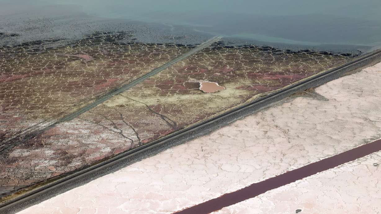 The shores of the Great Salt Lake when it was near its all-time lowest point on Aug. 4, 2022. Westminster University researchers plan to study salinity and other factors and their impact on brine flies, which were severely impacted in 2022.