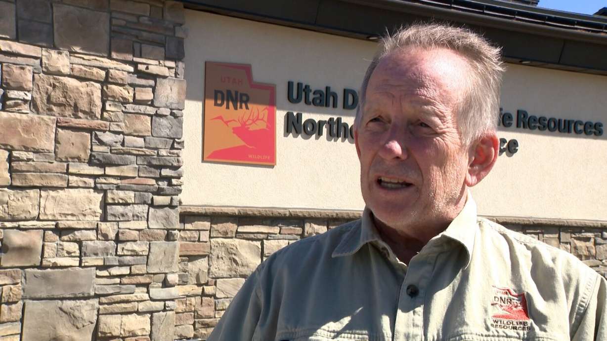 Mark Hadley, Northern Region outreach manager with the Utah Division of Wildlife Resources talks to KSL on Monday about an incident in which a turkey crashed through the windshield of a car on Saturday.