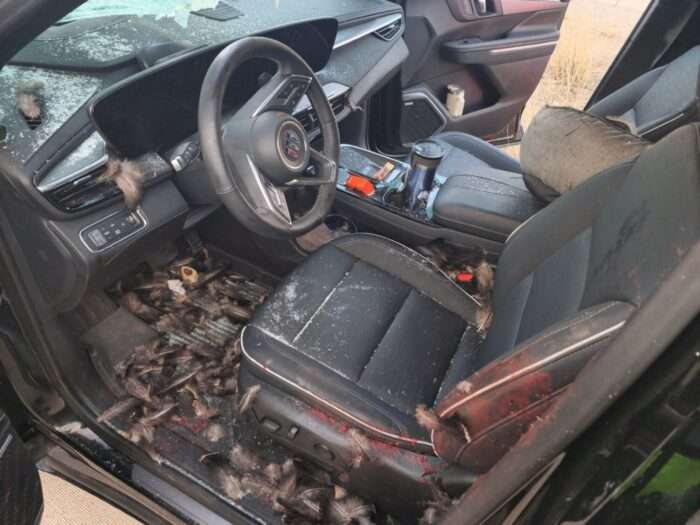 A car is pictured after a Turkey crashed through its windshield while driving on I-15 near Riverside on Saturday.
