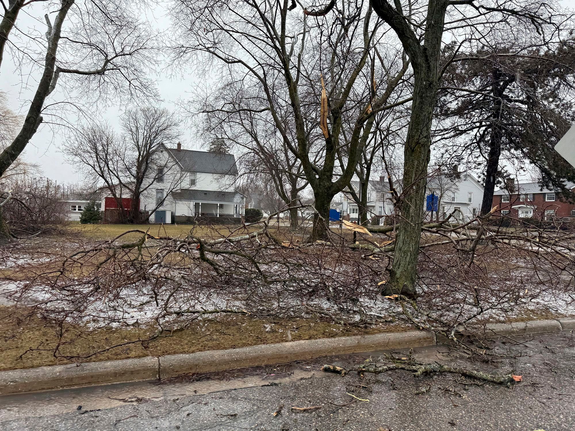 In this photo provided by Jesika Fox, an ice storm knocked down trees and power lines on Sunday, March 30, 2025, in Alpena, Michigan.