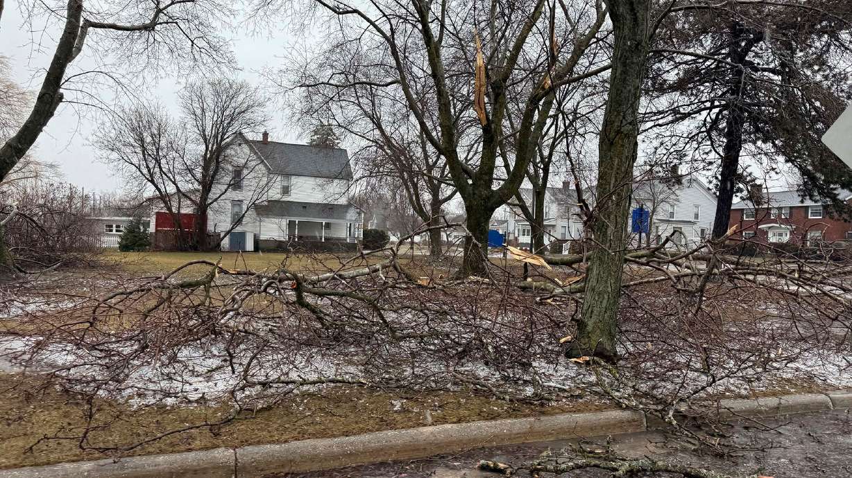 In this photo provided by Jesika Fox, an ice storm knocked down trees and power lines on Sunday, March 30, 2025, in Alpena, Michigan.
