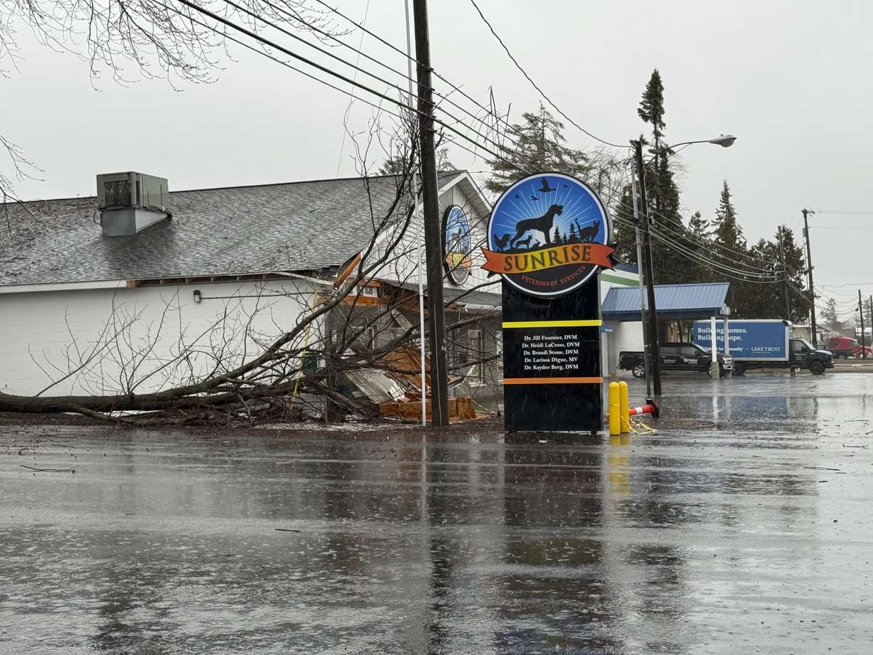 Freezing rain and ice brought down power lines and trees in Alpena, Mich., Sunday.