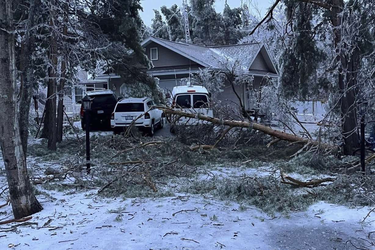 Freezing rain brought down trees at a home near Petoskey, Mich., Sunday.