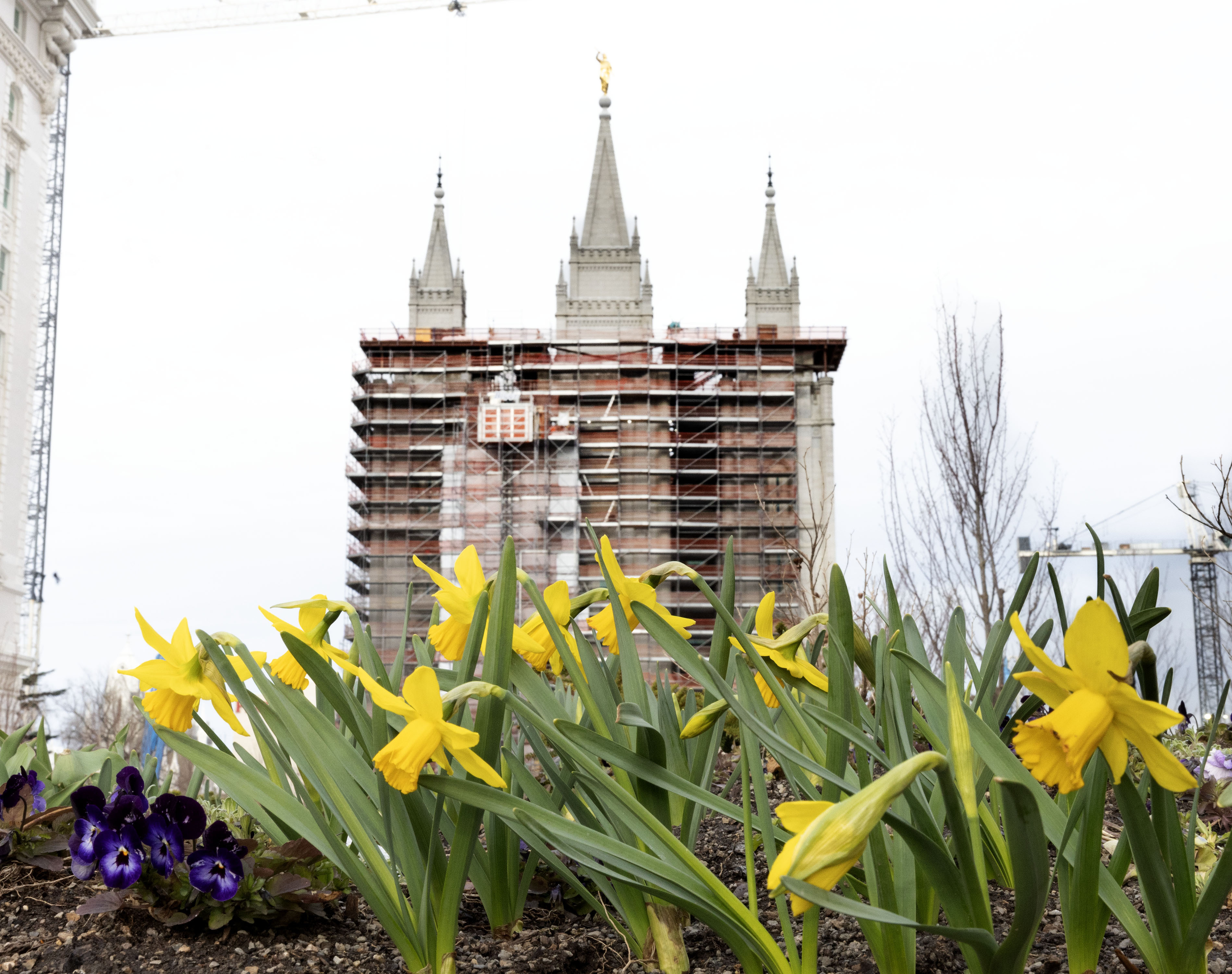 195th Annual General Conference of The Church of Jesus Christ of Latter-day Saints